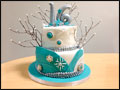 white and turquoise winter wonderland sweet sixteen cake with edible jewels and silver details
