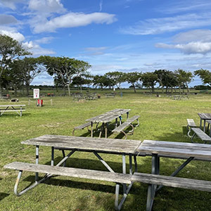 Event at Heckscher State Park in East Islip